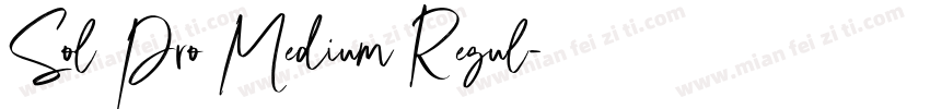 Sol Pro Medium Regul字体转换